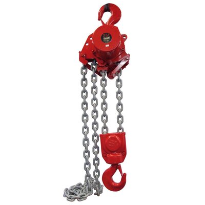 TMH hoist with 25 tons capacity